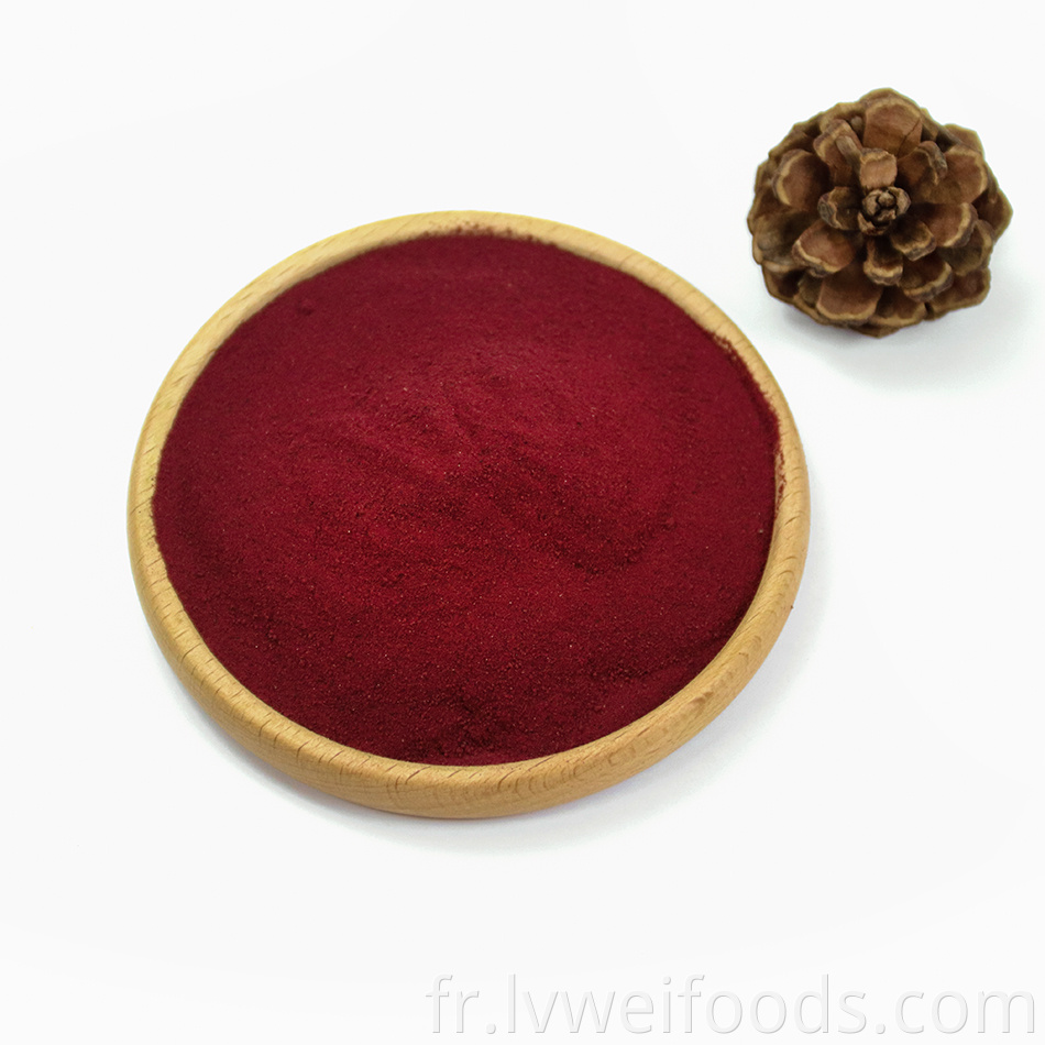 Dehydrated Tomato Powder